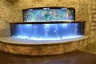 ACQUARIO DESIGN 