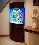 ACQUARIO DESIGN